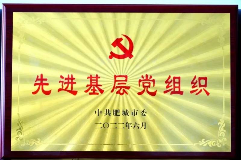 中共山东一滕集团机关支部被中共肥城市委授予先进基层